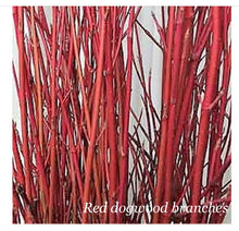 Load image into Gallery viewer, Mixed Fresh Holiday Greens 30 pounds