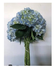 Load image into Gallery viewer, Fresh Hydrangea - 20-50 stems- gorgeous shades - summer flowers