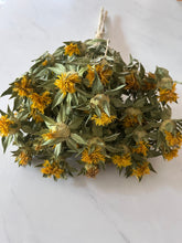 Load image into Gallery viewer, 3 Dried yellow safflower bundles