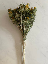 Load image into Gallery viewer, 3 Dried yellow safflower bundles