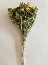 Load image into Gallery viewer, 3 Dried yellow safflower bundles