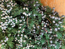 Load image into Gallery viewer, Preserved Juniper with Blue Berries