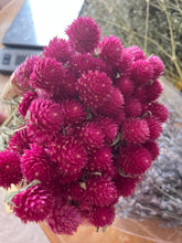 Load image into Gallery viewer, Sweetheart pink dried flower bouquet - in paper heart wrap- Mother’s Day dried flower bouquet