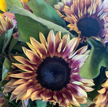 Load image into Gallery viewer, Fresh sunflowers