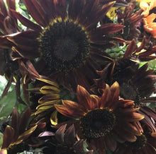 Load image into Gallery viewer, Fresh sunflowers