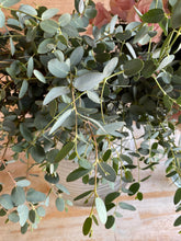 Load image into Gallery viewer, My sweetheart. Fresh Fragrant DIY flower arrangement kit