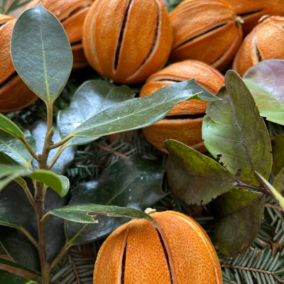 The Strange History of the Pomander, and Why It Belongs on Your Door Again
