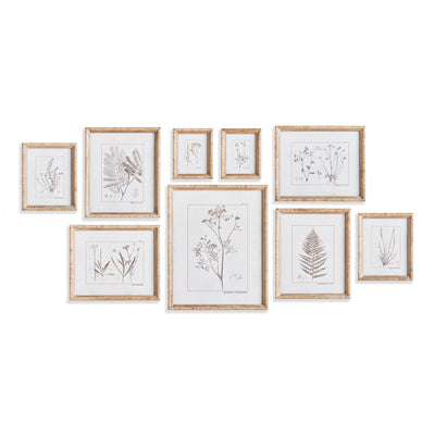 Before Pinterest, There Was Redouté: The 200-Year History Behind Every Botanical Gallery Wall