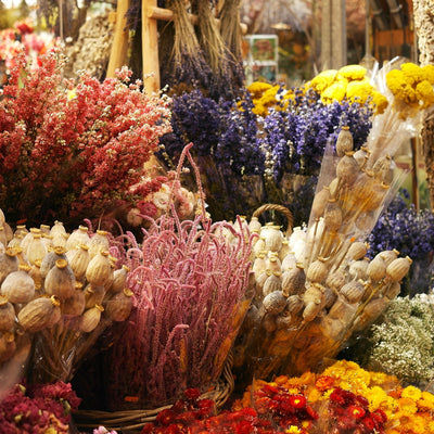What to do with dried flowers ?