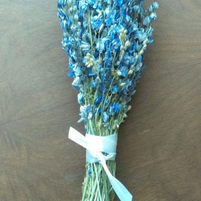 The Legend of Larkspur: July's Birth Flower and Its Old-World Meaning
