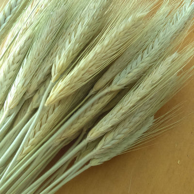 The No-Wreath Front Door: Why Wheat Swags Are Replacing the Circle