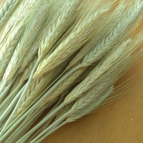 Setting an Afrohemian Harvest Table: Woven Texture and Warm Color for Fall Gatherings