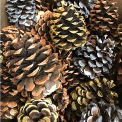 New Year's Eve Tablescapes: Styling Metallic Pinecones for a Festive Night
