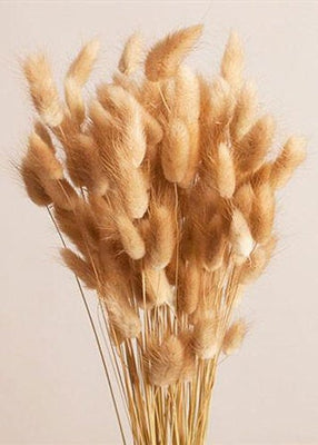 The Quiet Art of Ikebana-Inspired Arranging with Bunny Tails and Dried Oats