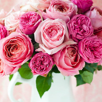 Garden Roses vs. Hybrid Tea Roses: What Actually Makes a Rose Look Old-Fashioned