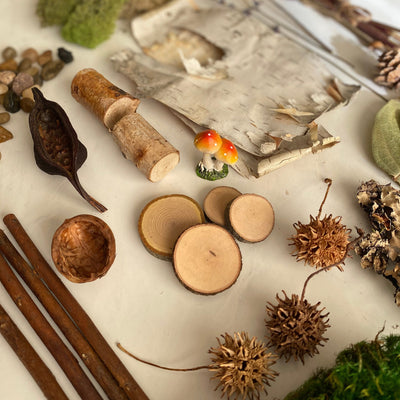 Fairy Houses: The Old European Folklore Behind 2026's Favorite Sustainable Craft