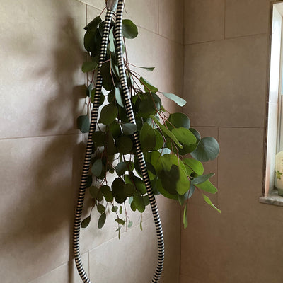 The Best Gifts for the Friend Who Says Her Apartment Has 'No Natural Light'