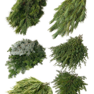 Book the Fresh Greens Before the Wreath-Making Rush: A Timing Guide for Hosting Your Own Workshop