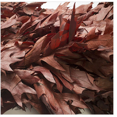 The Oak Leaf's Long Reign as a Symbol of Strength, and How to Bring It Indoors