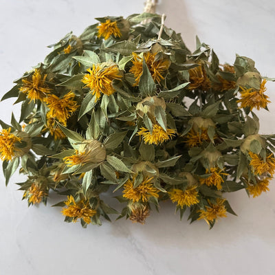 The Case for Safflower: Late-Summer Color That Won't Fade by Labor Day