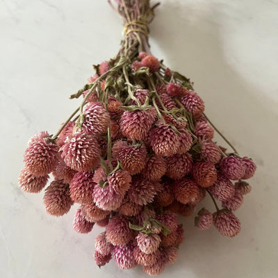 Flowers & Plants