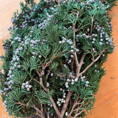 The Quiet Work of Juniper: Dressing a Winter Table Without Trying Too Hard