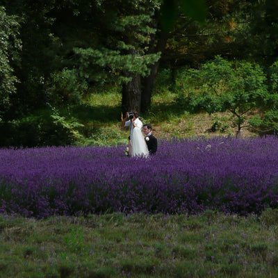 Weddings & Events