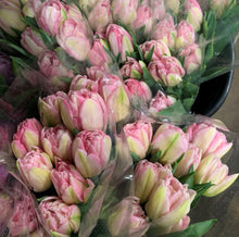 Load image into Gallery viewer, Spring Flower Collection
