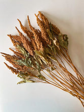 Load image into Gallery viewer, Dried Amaranth Tan
