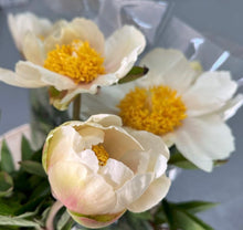Load image into Gallery viewer, Spring Flower Collection
