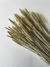 Load image into Gallery viewer, Dried Wheat
