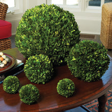 Load image into Gallery viewer, BOXWOOD BALL 16"
