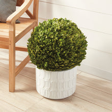 Load image into Gallery viewer, BOXWOOD BALL 16"
