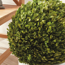 Load image into Gallery viewer, BOXWOOD BALL 16"

