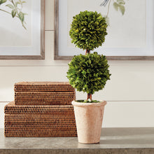 Load image into Gallery viewer, BOXWOOD DOUBLE SPHERE TOPIARY 20"
