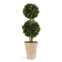 Load image into Gallery viewer, BOXWOOD DOUBLE SPHERE TOPIARY 20"
