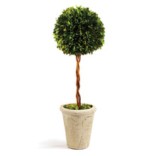Load image into Gallery viewer, BOXWOOD SINGLE SPHERE TOPIARY 18.5"
