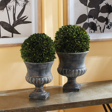 Load image into Gallery viewer, BOXWOOD BALL 12"
