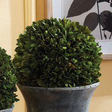 Load image into Gallery viewer, BOXWOOD BALL 12"
