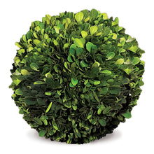 Load image into Gallery viewer, BOXWOOD BALL 8"
