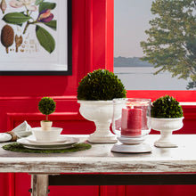 Load image into Gallery viewer, BOXWOOD BALL 8"
