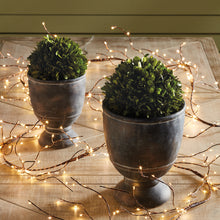 Load image into Gallery viewer, BOXWOOD BALL 8"
