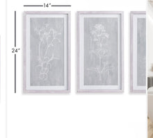 Load image into Gallery viewer, SKETCHED BOTANICAL PRINTS, SET OF 3

