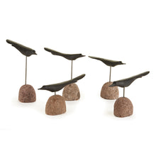 Load image into Gallery viewer, The Flock, Set of 5 – Black
