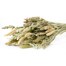Load image into Gallery viewer, Harvest Grains Bouquet
