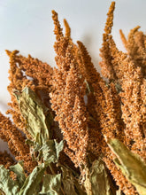 Load image into Gallery viewer, Dried Amaranth Tan
