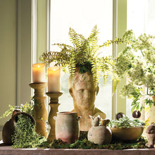 Load image into Gallery viewer, BOSTON FERN DROP-IN 16"
