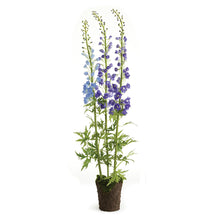 Load image into Gallery viewer, DELPHINIUM DROP-IN 53"
