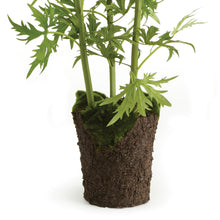 Load image into Gallery viewer, DELPHINIUM DROP-IN 53"
