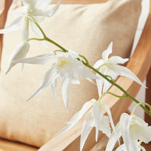 Load image into Gallery viewer, SPIDER ORCHID DROP-IN 44"
